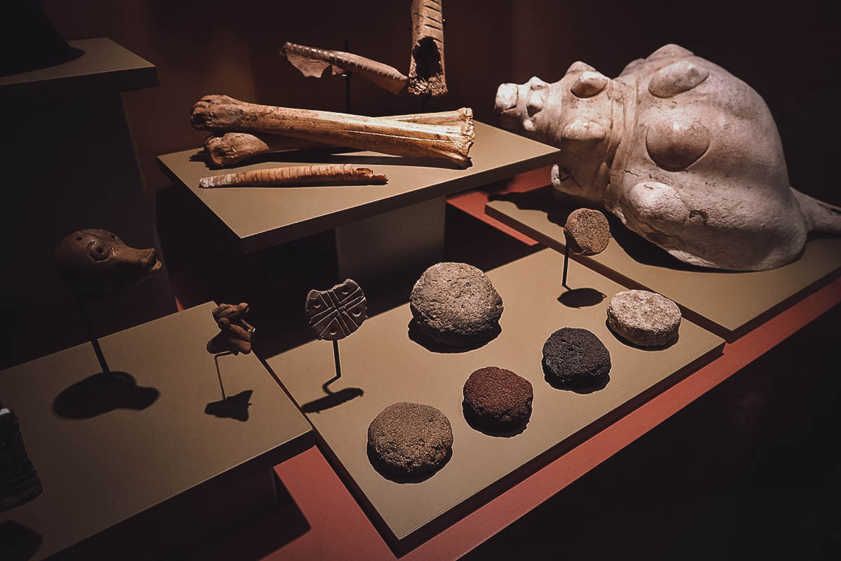 Cantona Ruins in Puebla, Mexico Relics at the Cantona Museum