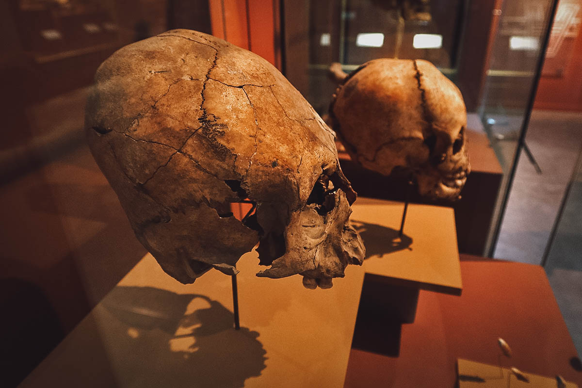 Cantona Ruins in Puebla, Mexico Skulls at the Cantona Museum