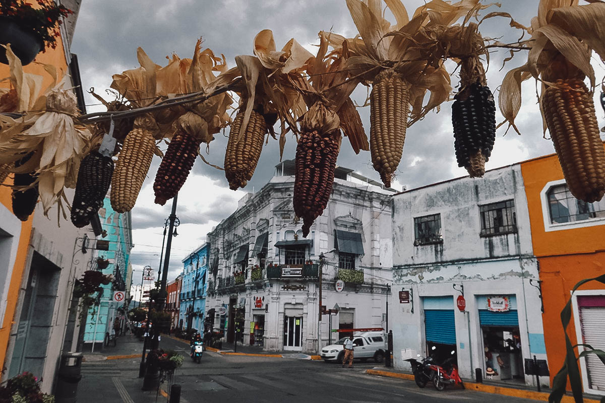 String of dried corn in Atlixco, Puebla