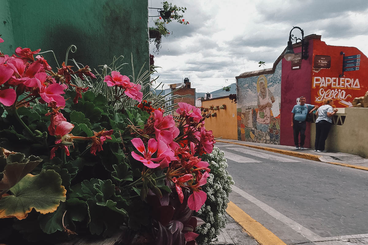 Flowers along Calzada 16 de Septiembre in Atlixco, Puebla